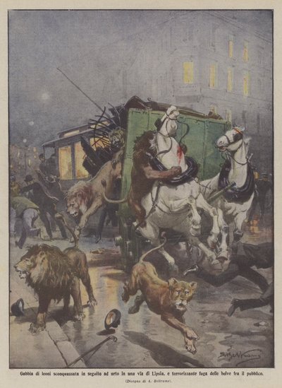 Lion Cage Shattered After a Collision in a Street in Leipzig, and Terrifying Escape by Achille Beltrame